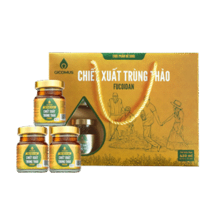 Nước chiết xuất trùng thảo Fucoidan GICOMUS Hộp 420ml