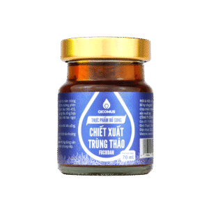 Hộp Quà Tặng Cao Cấp GICOMUS 840ml