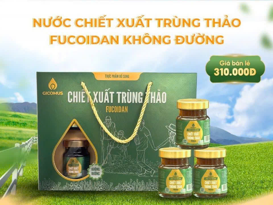 Nước chiết xuất Trùng thảo gicomus fucoidan không đường