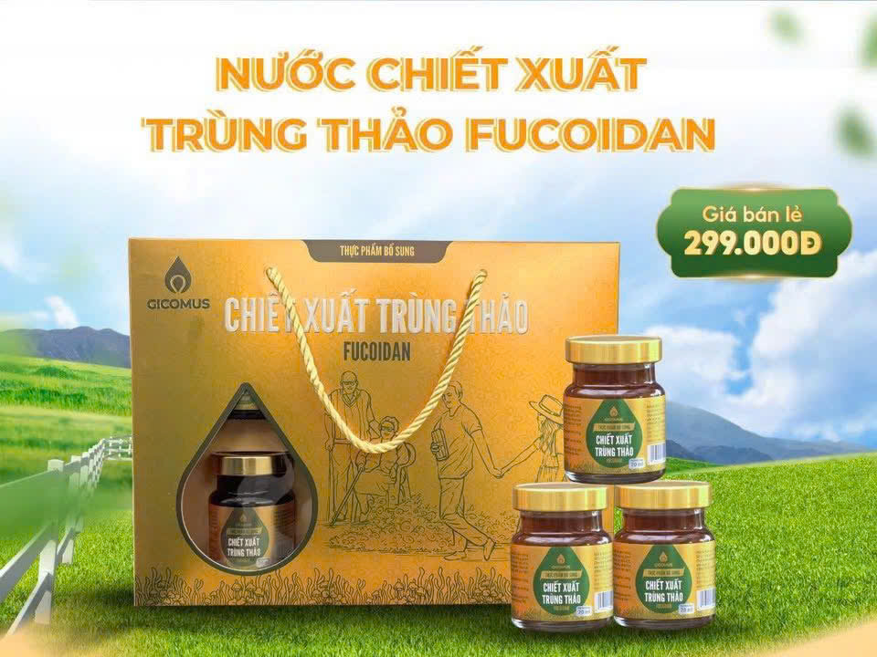 Nước chiết xuất Trùng thảo gicomus fucoidan có đường