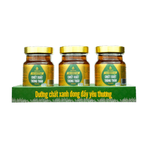 combo2-Nước chiết xuất trùng thảo Fucoidan GICOMUS