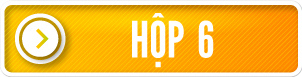vang-hop-6